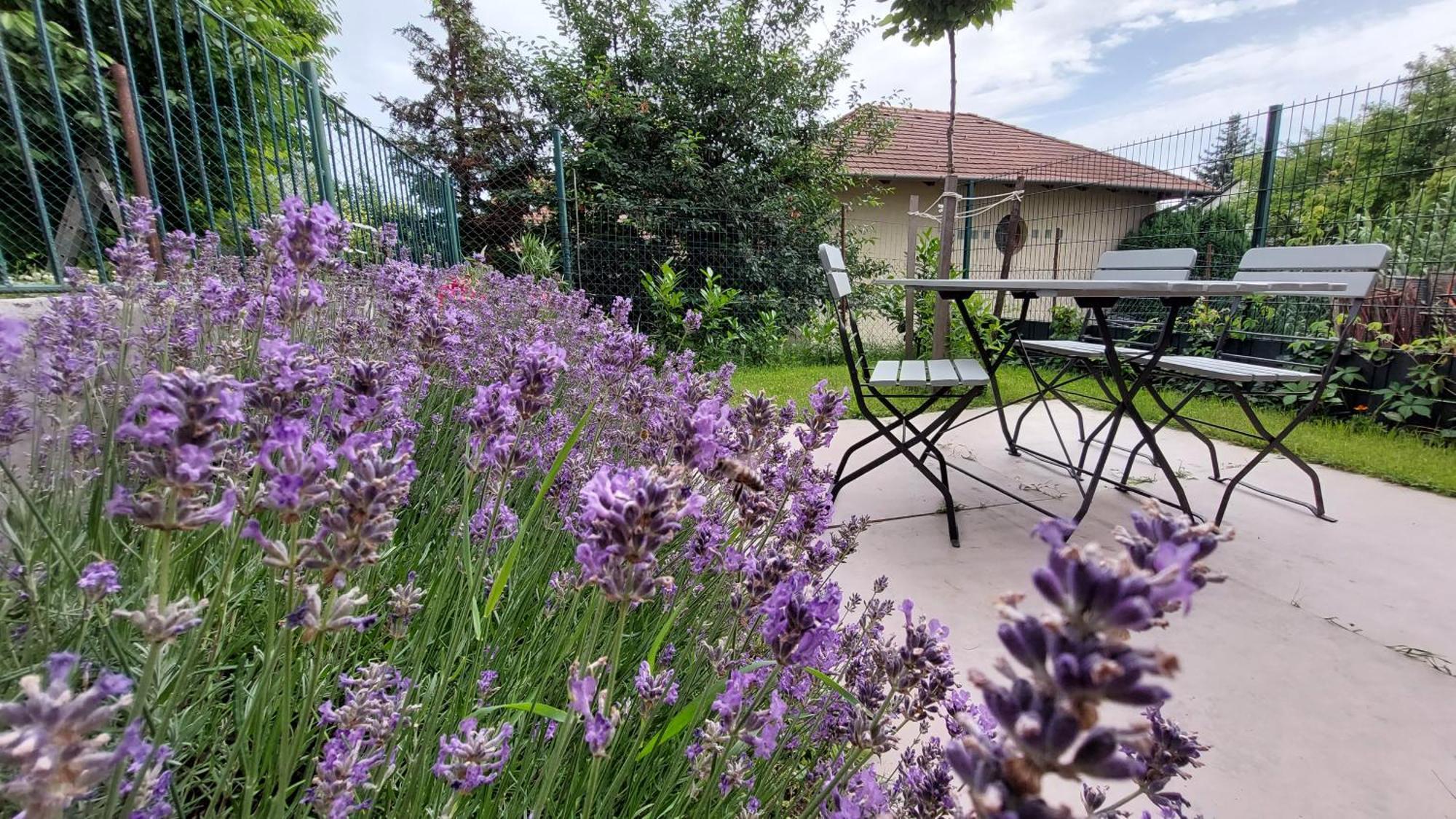 Miniszilva Apartman Balatonalmadi Exterior photo